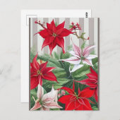 Kerstrode maryllis en Poinsettias Briefkaart (Voorkant / Achterkant)
