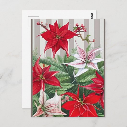 Kerstrode maryllis en Poinsettias Briefkaart (Voorkant / Achterkant)