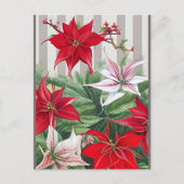 Kerstrode maryllis en Poinsettias Briefkaart (Voorkant)