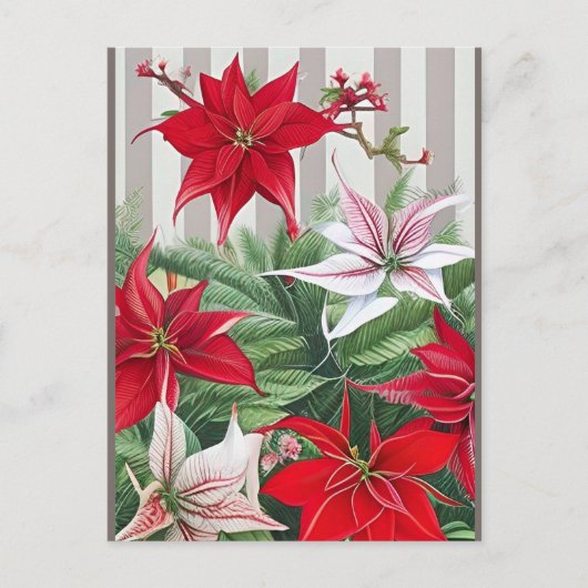 Kerstrode maryllis en Poinsettias Briefkaart (Voorkant)