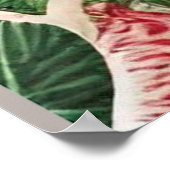 Kerstrode maryllis en Poinsettias Poster (Hoek)