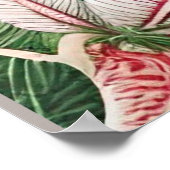 Kerstrode maryllis en Poinsettias Poster (Hoek)