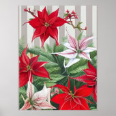 Kerstrode maryllis en Poinsettias Poster (Voorkant)