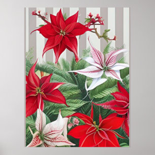 Kerstrode maryllis en Poinsettias Poster