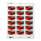 Kerstrood corvette klassieke gespleten ramen etiket (Full Sheet)