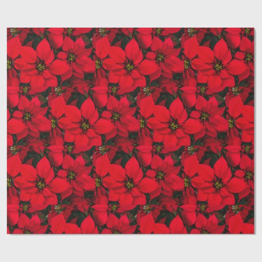 Kerstrood poinsettia holiday-omslagpapier cadeaupapier (Vlak)