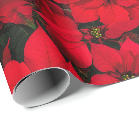 Kerstrood poinsettia holiday-omslagpapier cadeaupapier (Rol Hoek)