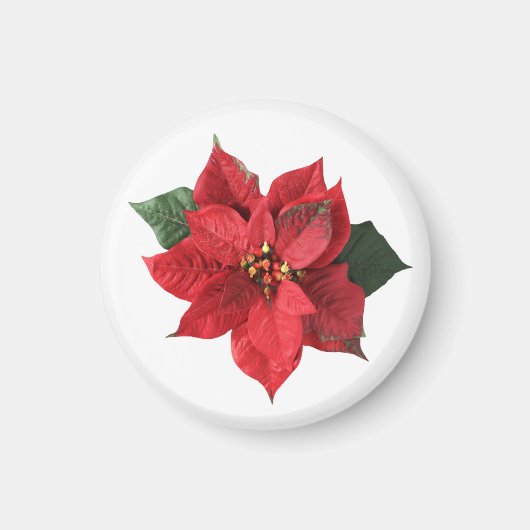 Kerstrood Poinsettia Magneet (Voorkant)