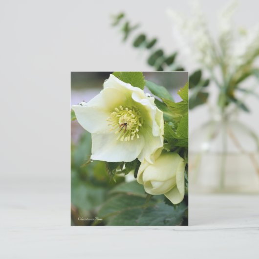 KerstRoos [Briefkaart] Briefkaart (Staand voorkant)