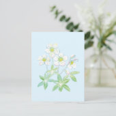 Kerstroos, Helleborus niger Briefkaart (Staand voorkant)