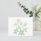 Kerstroos, Helleborus niger Briefkaart (Staand voorkant)