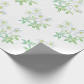 Kerstroos, Helleborus niger Cadeaupapier (Hoek)