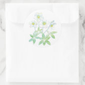 Kerstroos, Helleborus niger Illustratie Ronde Sticker (Tas)