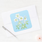 Kerstroos, Helleborus niger Illustration Squ Vierkante Sticker (Envelop)