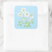 Kerstroos, Helleborus niger Illustration Squ Vierkante Sticker (Tas)