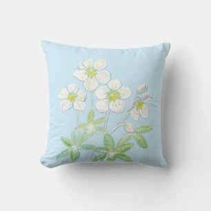 Kerstroos, Helleborus niger Kussen