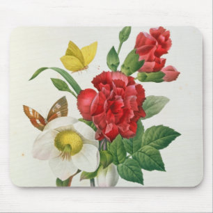 KerstRoos, Helleborus niger Muismat