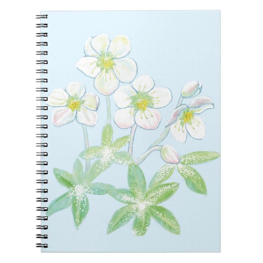 Kerstroos, Helleborus niger Notitieboek (Voorkant)