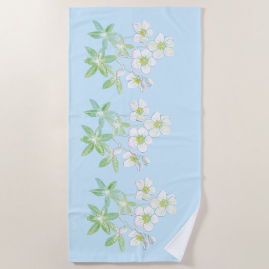 Kerstroos, Helleborus niger Strandlaken (Voorkant)