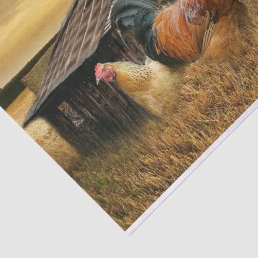 kerstrooster Hen Barn Coop Boerderij Tissuepapier (Detail)