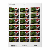 Kerstrottweiler Etiket (Full Sheet)