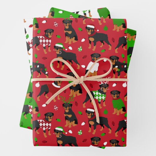 Kerstrottweiler Inpakpapier Vel (In situ)