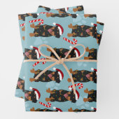 Kerstrottweiler Inpakpapier Vel (In situ)