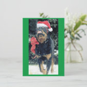 kerstrottweiler w / santa hat , redbow , sneeuw kaart (Staand voorkant)