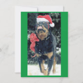 kerstrottweiler w / santa hat , redbow , sneeuw kaart (Voorkant)