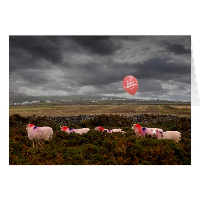 Kerstschaap (Voorkant Horizontaal)