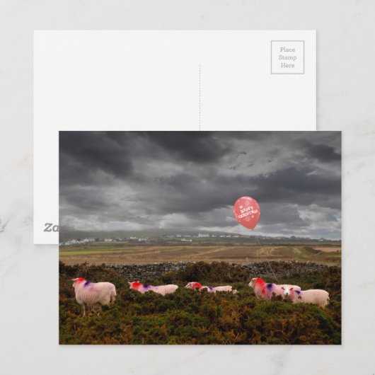 Kerstschaap Briefkaart (Voorkant / Achterkant)