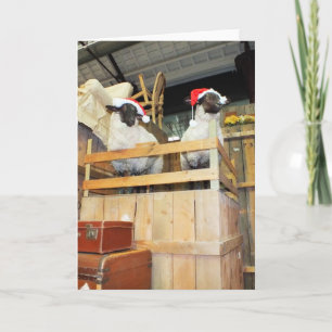 Kerstschaap Feestdagen Kaart