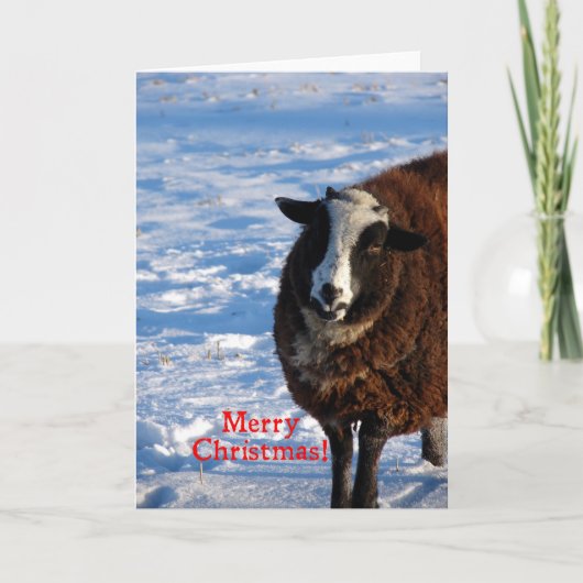 Kerstschaap Feestdagen Kaart (Voorkant)