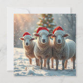 Kerstschapen Feestdagenkaart (Voorkant)