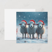 Kerstschapen Feestdagenkaart (Voorkant / Achterkant)