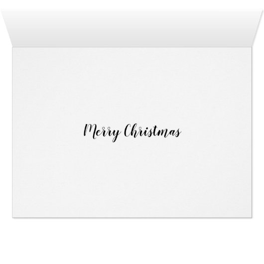 kerstschildpad (Binenzijde Horizontaal (Onderkant))