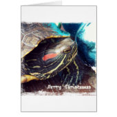kerstschildpad (Voorkant)