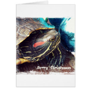 kerstschildpad
