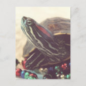 Kerstschildpad Briefkaart (Voorkant)