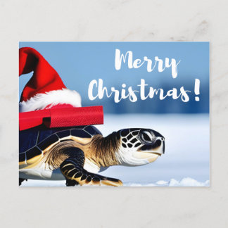 Kerstschildpad Briefkaart