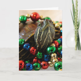 Kerstschildpad Feestdagen Kaart