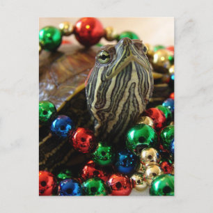 Kerstschildpad Feestdagenkaart