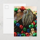 Kerstschildpad Feestdagenkaart (Voorkant / Achterkant)