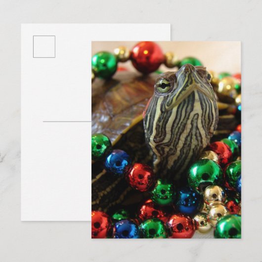 Kerstschildpad Feestdagenkaart (Voorkant / Achterkant)