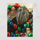 Kerstschildpad Feestdagenkaart (Voorkant)