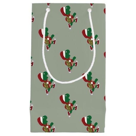 Kerstschildpad Klein Cadeauzakje (Voorkant)