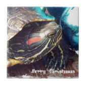kerstschildpad tegeltje (Voorkant)