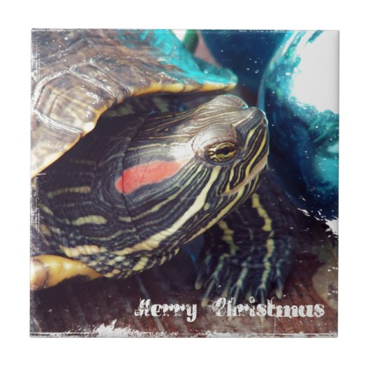 kerstschildpad tegeltje (Voorkant)