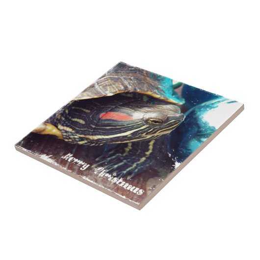 kerstschildpad tegeltje (Zijkant)