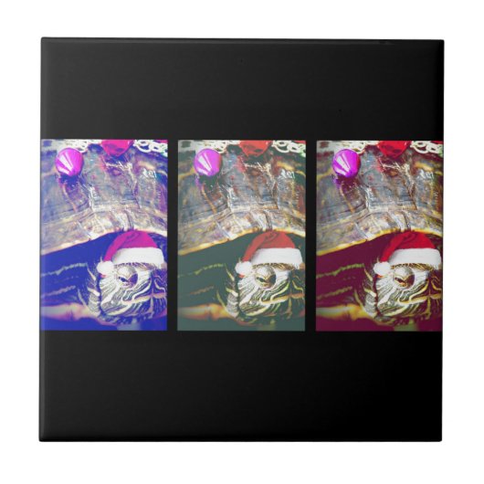 kerstschildpad tegeltje (Voorkant)